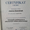 Powiększ obraz: certificate 13