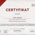 Powiększ obraz: certificate 9