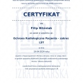 Powiększ obraz: certificate 6