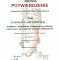 Powiększ obraz: certificate 1