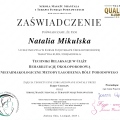 Powiększ obraz: certificate 9