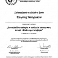 Powiększ obraz: certificate 12