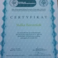 Powiększ obraz: certificate 3