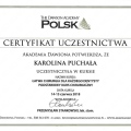 Powiększ obraz: certificate 3