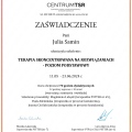 Powiększ obraz: certificate 2