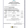 Powiększ obraz: certificate 1