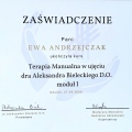 Powiększ obraz: certificate 2