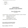 Powiększ obraz: certificate 7