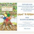 Powiększ obraz: certificate 6