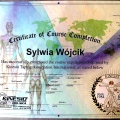 Powiększ obraz: certificate 4