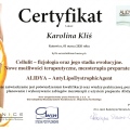 Powiększ obraz: certificate 12