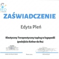 Powiększ obraz: certificate 5