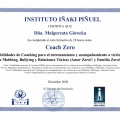 Powiększ obraz: certificate 7