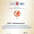 Powiększ obraz: certificate 5