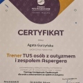 Powiększ obraz: certificate 3
