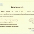 Powiększ obraz: certificate 9