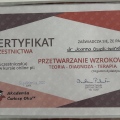 Powiększ obraz: certificate 5