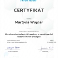 Powiększ obraz: certificate 4