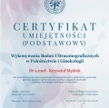 Powiększ obraz: certificate 1