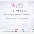 Powiększ obraz: certificate 10