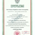 Powiększ obraz: certificate 4