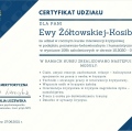 Powiększ obraz: certificate 1