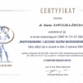 Powiększ obraz: certificate 75