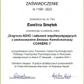 Powiększ obraz: certificate 8