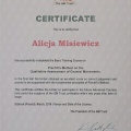 Powiększ obraz: certificate 11