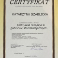 Powiększ obraz: certificate 4