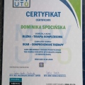 Powiększ obraz: certificate 2