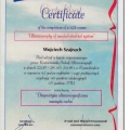 Powiększ obraz: certificate 2