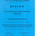 Powiększ obraz: certificate 1
