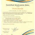 Powiększ obraz: certificate 5