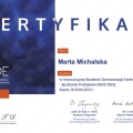 Powiększ obraz: certificate 13