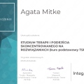 Powiększ obraz: certificate 2