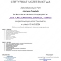Powiększ obraz: certificate 12