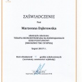 Powiększ obraz: certificate 9