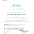 Powiększ obraz: certificate 12