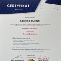 Powiększ obraz: certificate 4