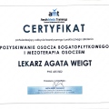 Powiększ obraz: certificate 8