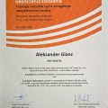 Powiększ obraz: certificate 1