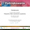 Powiększ obraz: certificate 13
