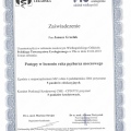 Powiększ obraz: certificate 4