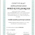 Powiększ obraz: certificate 1