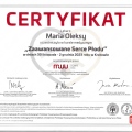 Powiększ obraz: certificate 4