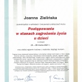 Powiększ obraz: certificate 8