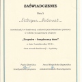 Powiększ obraz: certificate 3