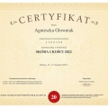 Powiększ obraz: certificate 2