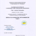 Powiększ obraz: certificate 8